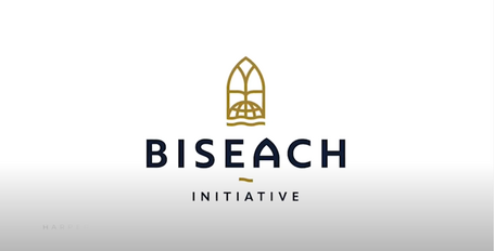 Biseach Video Image2 