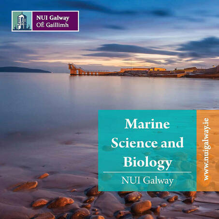 Marine Science And Biology Brochure