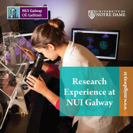 Nui Galway Scientific Research Experience Module