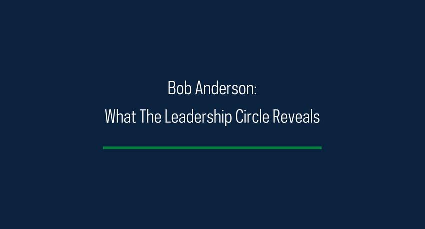  Bob Anderson What The Leadership Circle Reveals 